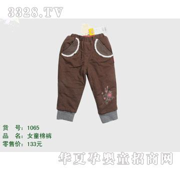 �s�A����̫��XG1065