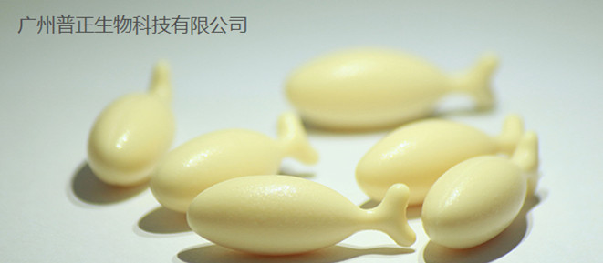 �V���������z�ǹ�