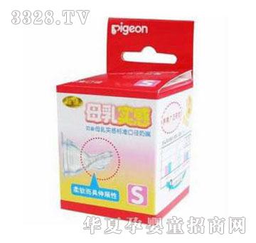 ؐ�Hĸ�錍��S�͘˜ʿڏ����z����BA24