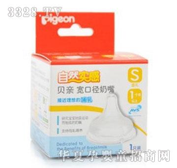 �����䌒�ڏ����z����