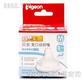 �����䌒�ڏ����z����1