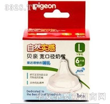 ��������z����L