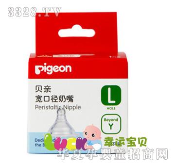 ؐ�H���ڏ�����L