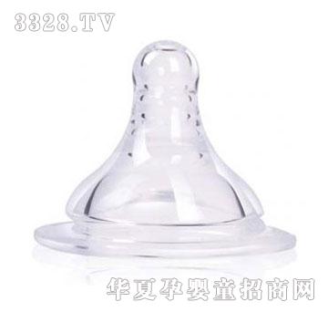 �ల���ڏ���������