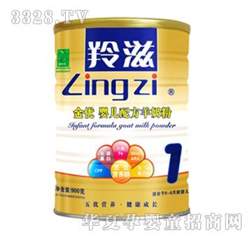 ���̽���900g�냺�䷽���̷�