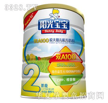 �y����Iꖹ⌚���pA100�^��냺�䷽�̷�2��209