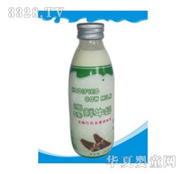 �����ţ��