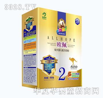 �W���^��냺�䷽ţ�̷�2�Σ�400g��