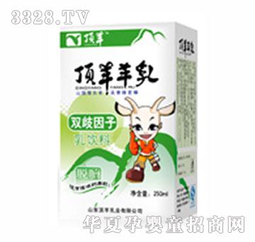 ����p����������