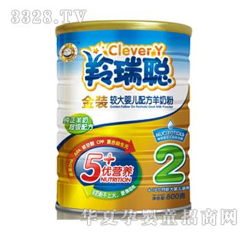 �������b800���b2�����̷�