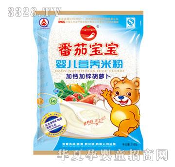 ���ь������\���}���}���냺�I�B�׷�518g