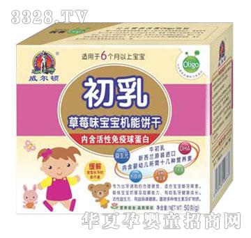 �����DʳƷ�����ݮζ�����C���50g