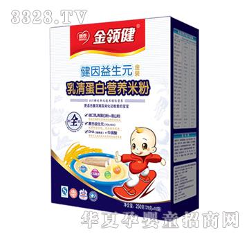 ���I�����嵰�נI�B�׷�ȫ�A�κ��b