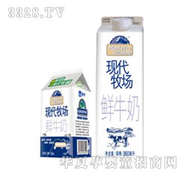 ��ţ��ţ�F������(���A)