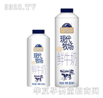 ��ţ��ţ�F������(�Ϻ�)