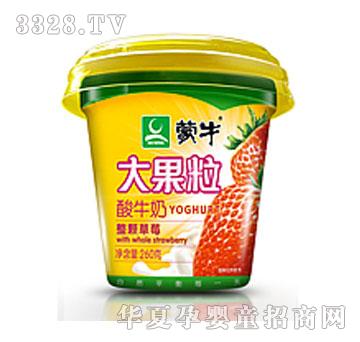 ��ţ���Ǳ��������ţ��(���w��ݮ)