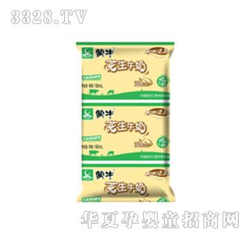 ��ţ������������