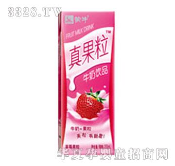 ��ţ��ݮ�����������