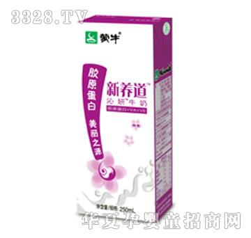 ��ţ����ţ��