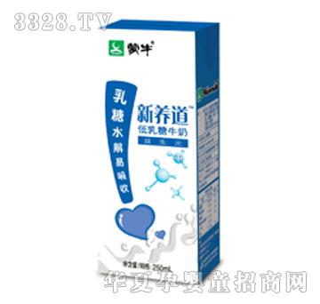 ��ţ������ţ��