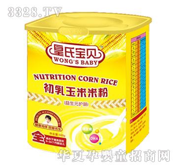 ���ό�ؐ���������׷�-����Ԫ�o�c