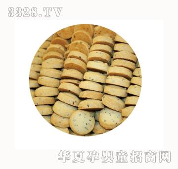 ʥʿ�������