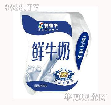 ����ţ�����rţ��