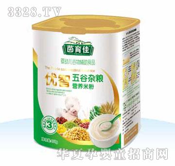 �����у�������s�Z�I�B�׷�