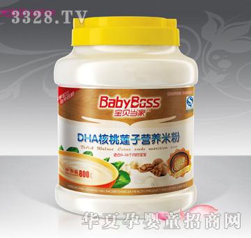 ��ؐ����DHA����ɏ�ӠI�B(y��ng)�׷�800��