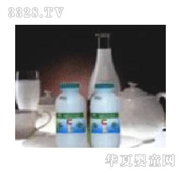 �t�Ɍ�������