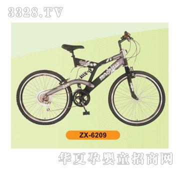 ����ɽ��܇ZX-6209