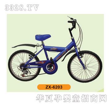 ����ɽ��܇ZX-6203