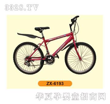 ����ɽ��܇ZX-6193