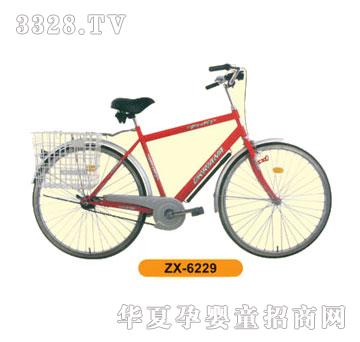 ���³���܇ZX-6229