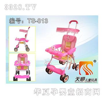 �������܇TS-813