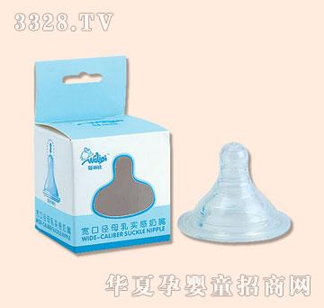 �����Ȍ��ڏ�ĸ�錍������