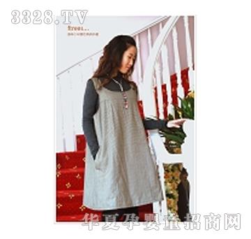 ����ϵ�з�ݗ���R��EX2M