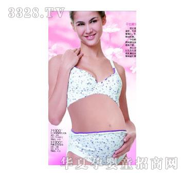 �Ѿ��������ܱ�ģ���黨����