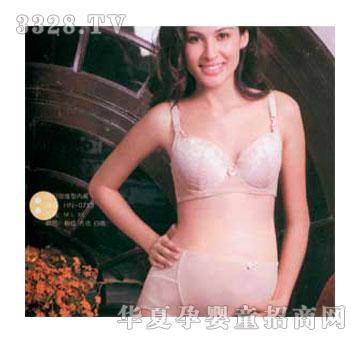 ���������ЋD�ӏ��̓�ѝHN-0713