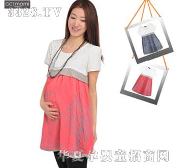 ʮ������zƴ�Ӷ�������