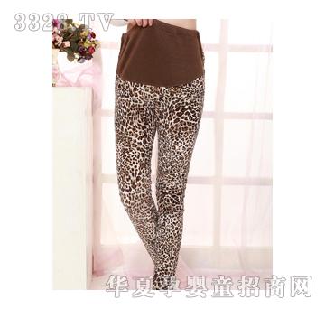 �������n���ЋD�b�r(sh��)���@�ݱ��y��о�q���ѝ