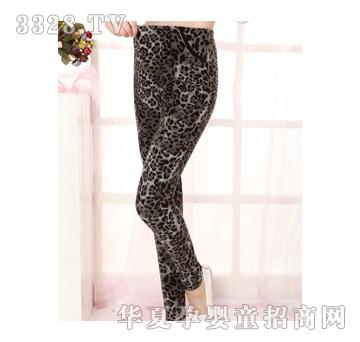 �������ЋD�b�r(sh��)���n���@�ݱ��y�ӽq���ѝ