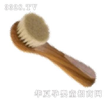 �����μ���ë���ݝ����(Ӣ��)