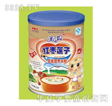 �����t��-ɏ���׷�