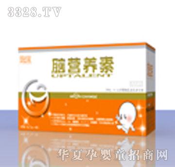 �h�����X�I�B��