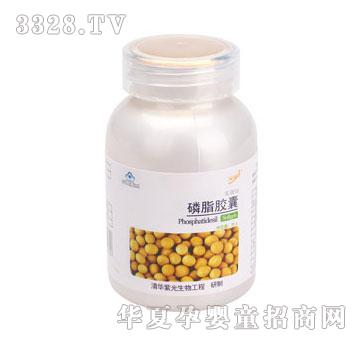 �Ϲ����(d��ng)����֬�z��