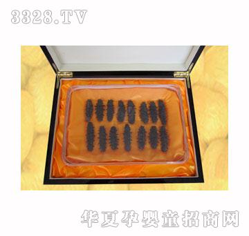 ����M022�ձ�����