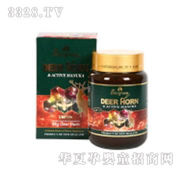 Evergreen¹�����R�����Է���