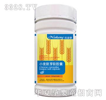 �~������С����ѿܛ�z��