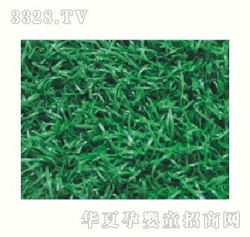 ��|��ƺϵ��